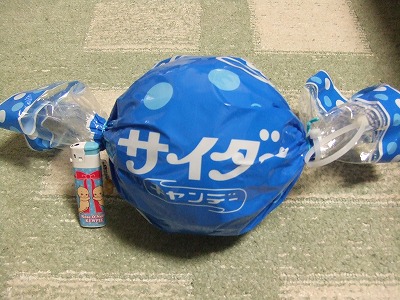 2009_05010003