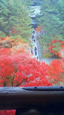 wamiko201011251536002